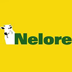 Nelore