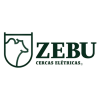 Zebu