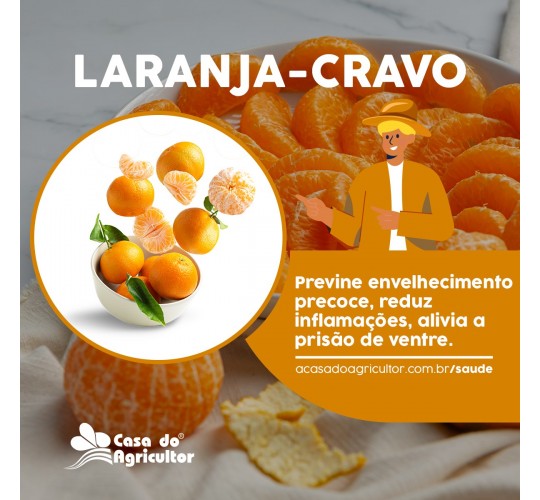 Benefícios da laranja cravo