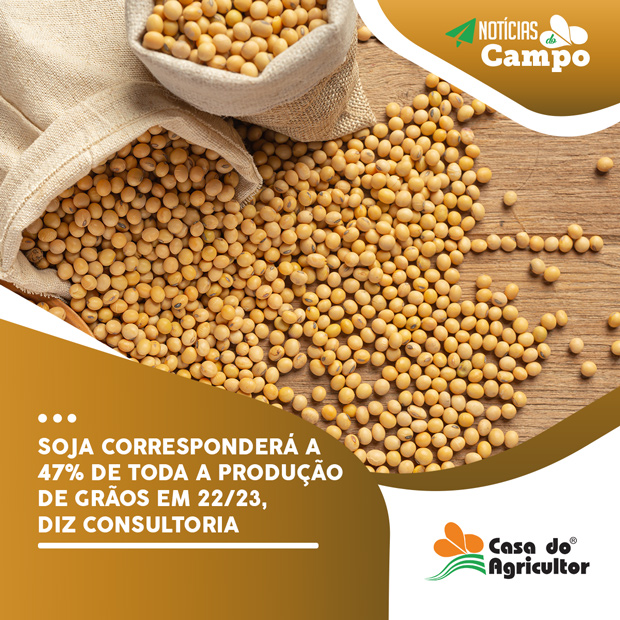 Soja corresponderá a 47% de toda a produção de grãos em 22/23