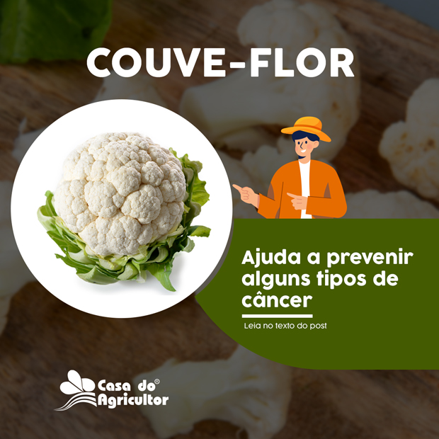 Couve-flor: incríveis benefícios para a saúde