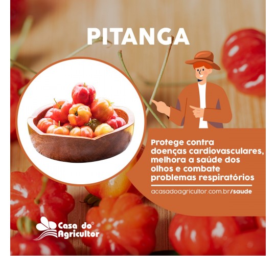 Conheça os benefícios da Pitanga