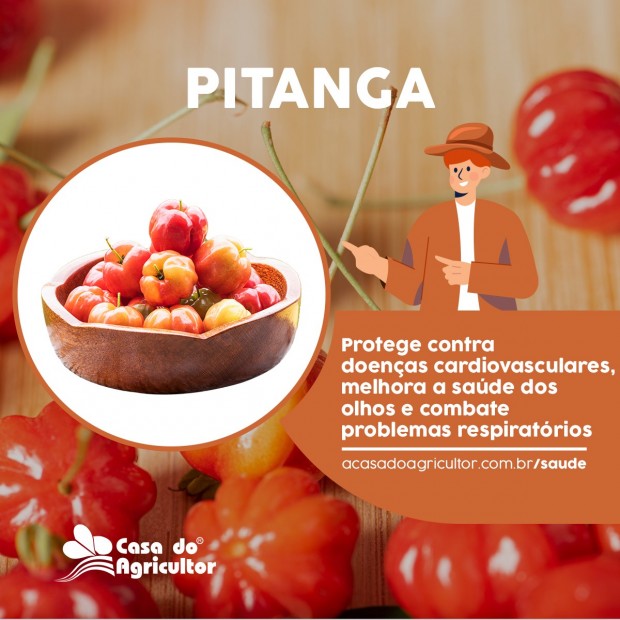 Conheça os benefícios da Pitanga