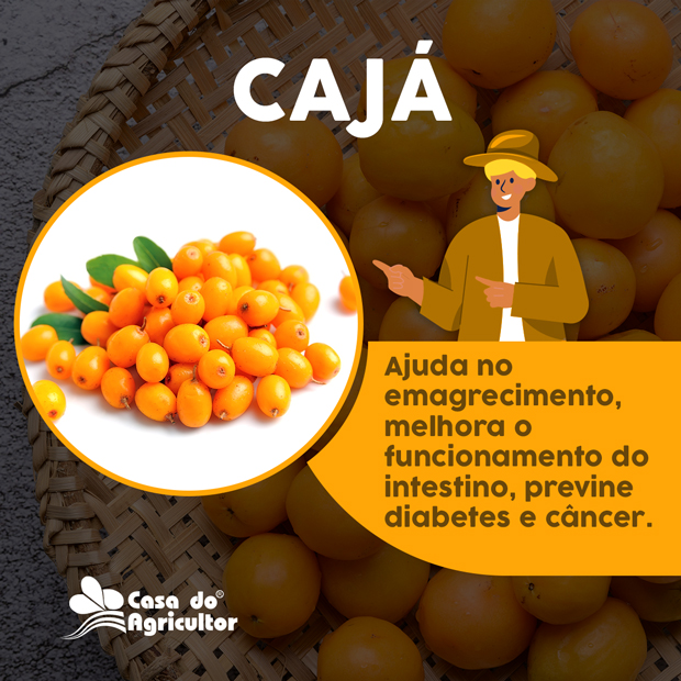 Benefícios do Cajá