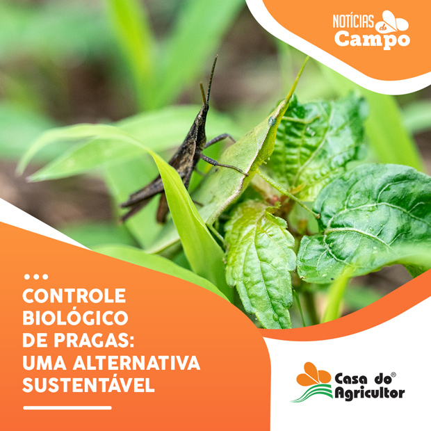 Controle biológico de pragas: uma alternativa sustentável