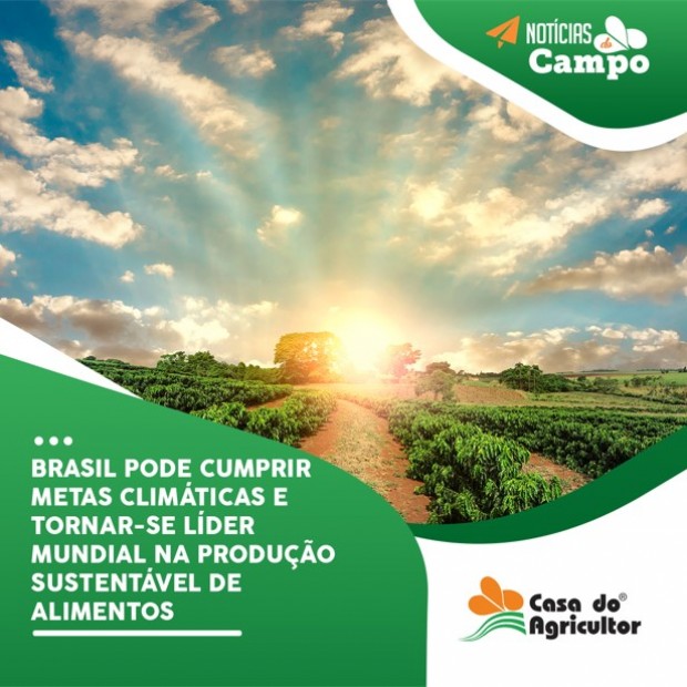 Brasil pode cumprir metas climáticas e tornar-se líder mundial na produção sustentável de alimentos