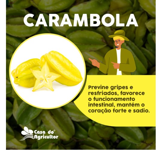 Conheça os benefícios da carambola para a sua saúde