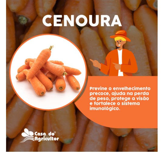 Conheça os benefícios da cenoura