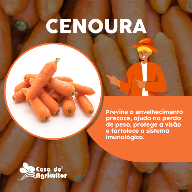 Conheça os benefícios da cenoura