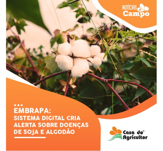 Embrapa: sistema digital cria alerta sobre doenças de soja e algodão