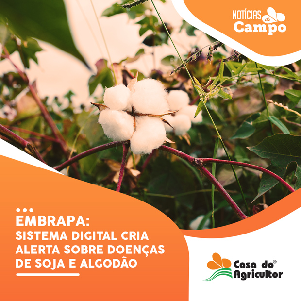 Embrapa: sistema digital cria alerta sobre doenças de soja e algodão