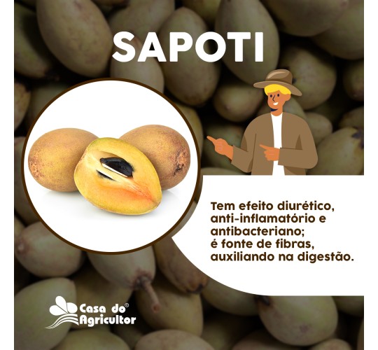 Benefícios do Sapoti Benefícios do Sapoti