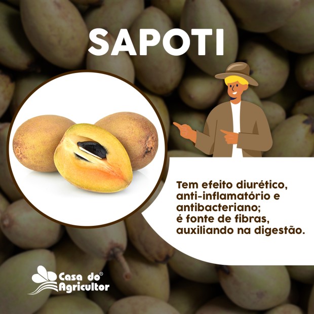 Benefícios do Sapoti