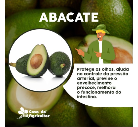 Conheça os benefícios do abacate para sua saúde