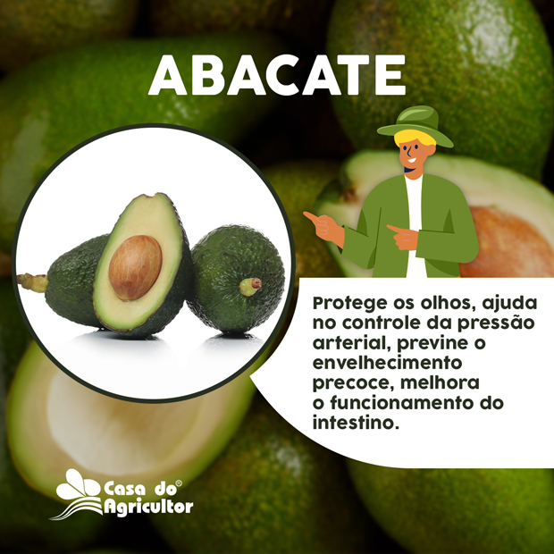 Conheça os benefícios do abacate para sua saúde