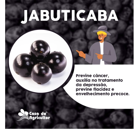 Benefícios da jabuticaba