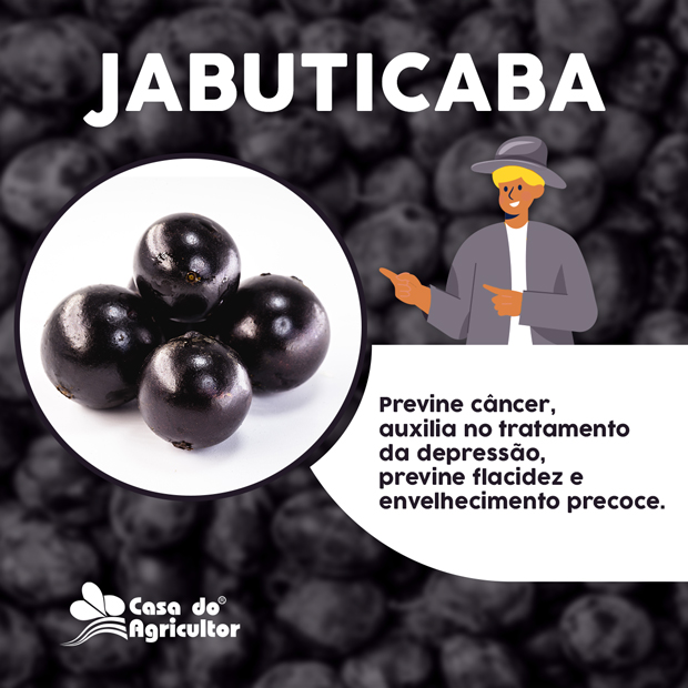 Benefícios da jabuticaba