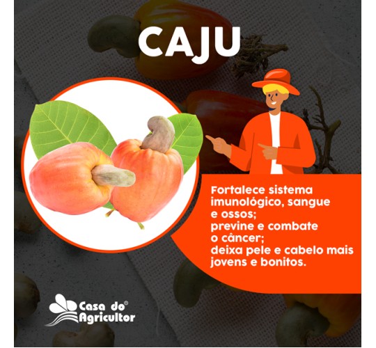 Caju: conheça os benefícios dessa poderosa fruta para a saúde!