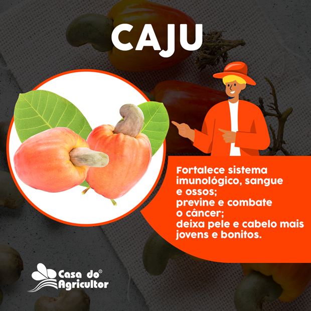 Caju: conheça os benefícios dessa poderosa fruta para a saúde!