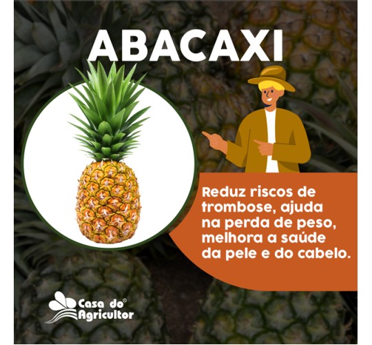 Benefícios do Abacaxi