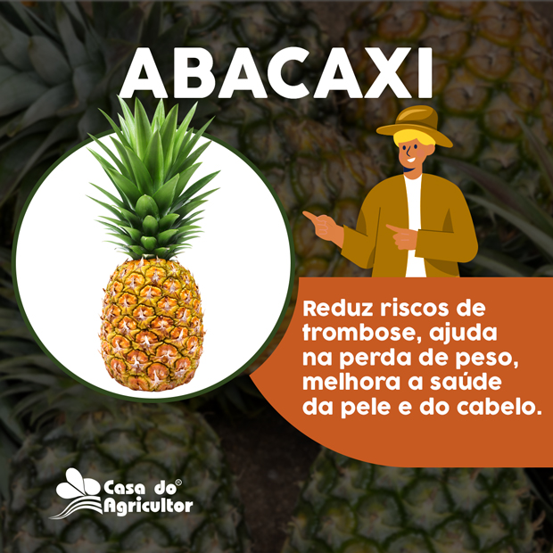 Benefícios do Abacaxi