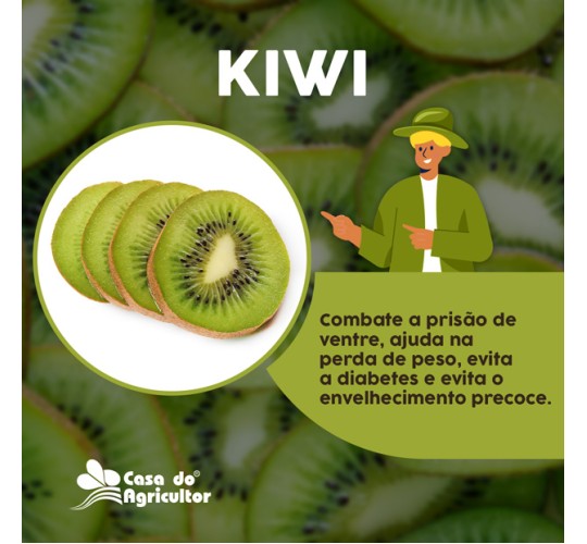 Benefícios do Kiwi