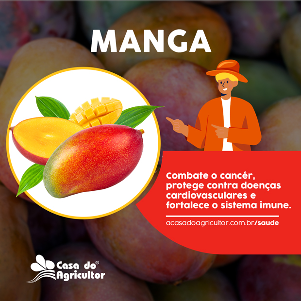 Conheça os benefícios da manga