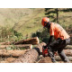  MOTOSSERRA HUSQVARNA 272XP 20” PD