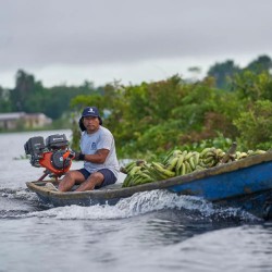 MOTOR HUSQVARNA 6.5CV HH 196OB