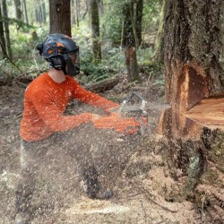 MOTOSSERRA HUSQVARNA 585 - 30"