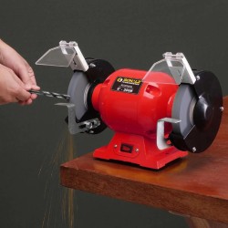 MOTOESMERIL SCHULZ 300W