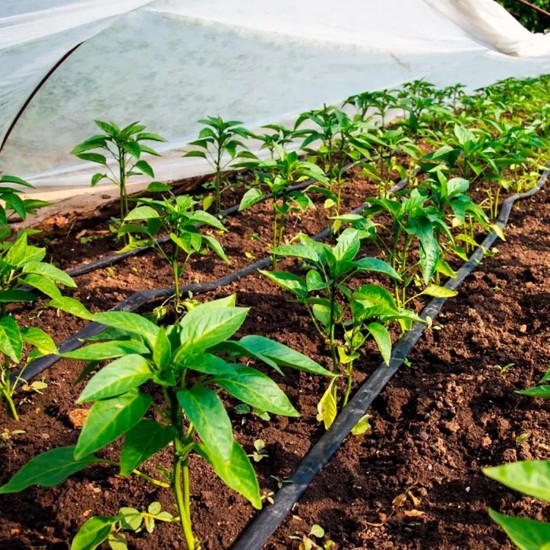 FITA GOTEJADORA PETROISA JURUSSU 6MIL X 20CM - 2000M