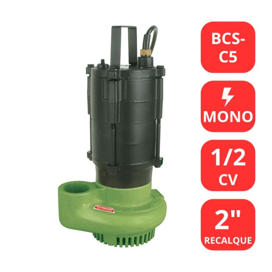 BOMBA SCHNEIDER 1/2 CV - BCS-C5 - MONO