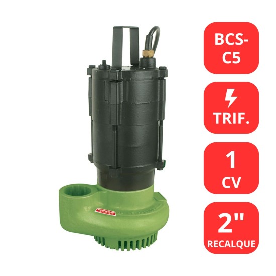 BOMBA SCHNEIDER 1CV - BCS-C5 - TRIF.