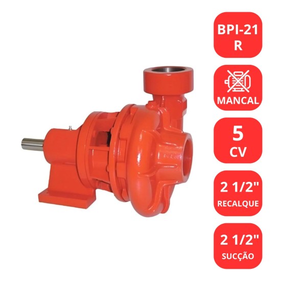 BOMBA SCHNEIDER 5CV BPI-21R MANCALIZADA
