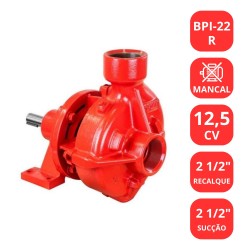 BOMBA SCHNEIDER 12,5CV BPI-22R MANCALIZADA
