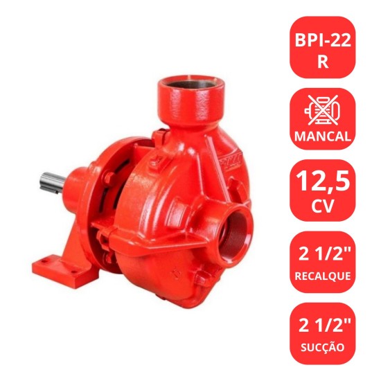 BOMBA SCHNEIDER 12,5CV BPI-22R MANCALIZADA