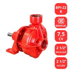 BOMBA SCHNEIDER 7.5CV BPI-22R MANCALIZADA