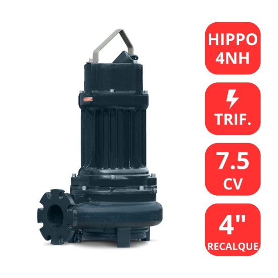 BOMBA SCHNEIDER 7.5CV - HIPPO 4NH TRIF