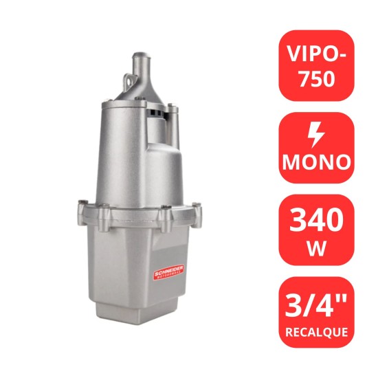 BOMBA SAPO SCHNEIDER VIPO 750