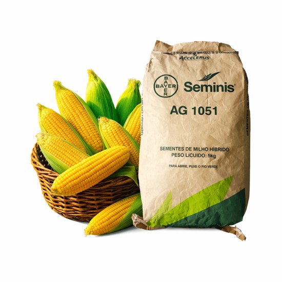 SEMENTE DE MILHO VERDE 1051 – PACOTE 1 Kg