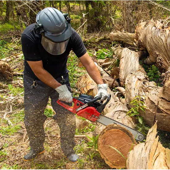 MOTOSSERRA TOYAMA - 49,2 cc - TCS53FG2