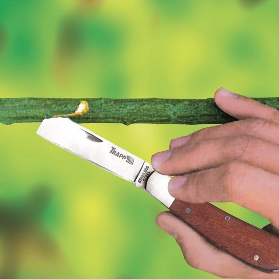 CANIVETE PARA ENXERTIA TRAPP KN-02