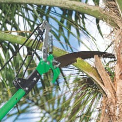 SERROTE DE PODA TRAPP SR 20810 – 12" (30,5 cm)