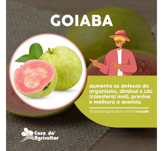 Conheça os benefícios da goiaba