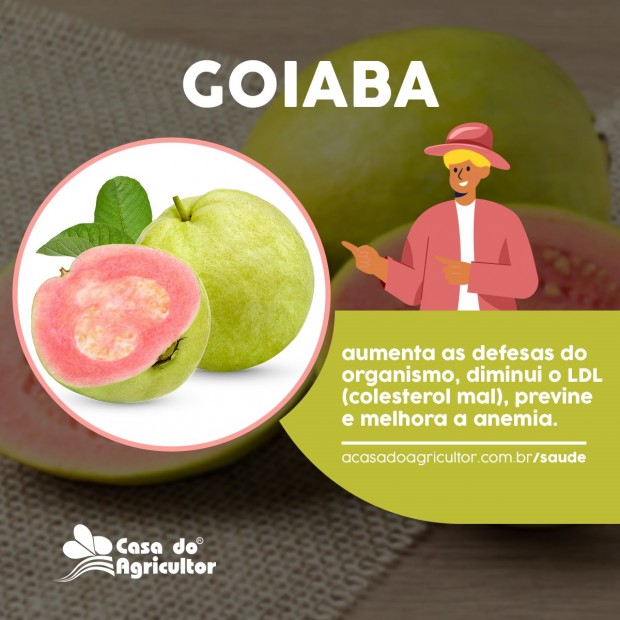 Conheça os benefícios da goiaba